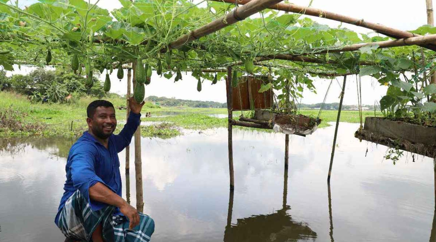 ভাসমান কৃষিতে ঝুঁকছেন নবীনগরের চাষিরা